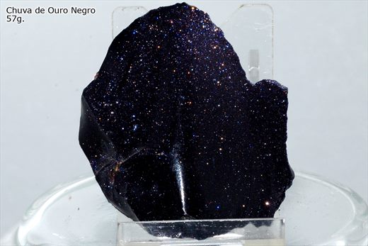 Chuva de Ouro Negro 1