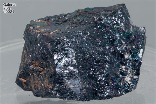Galena n0021