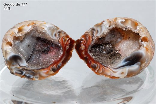 Geodo de 01