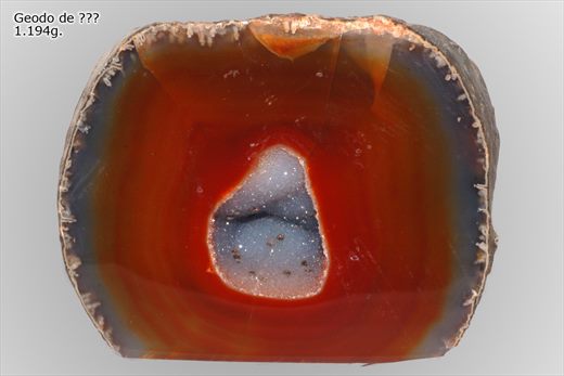 Geodo de 11