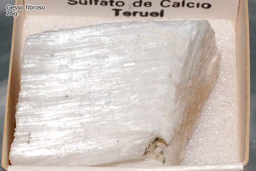 Gesso fibroso 2