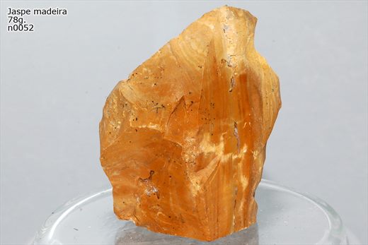 Jaspe madeira 1