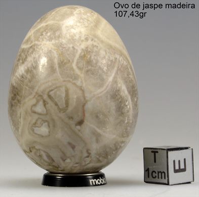 Jaspe madeira (Ovo) 107,43gr