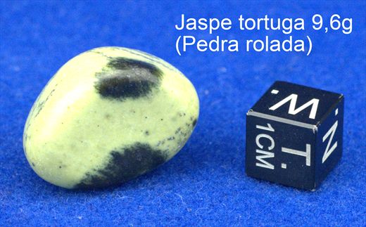 Jaspe tortuga (Pedra rolada) 9,6g