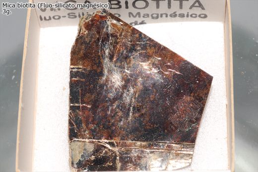 Mica Biotita