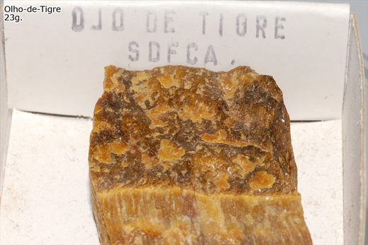 Olho de tigre castanho 2