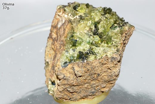 Olivina 2