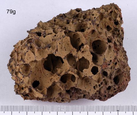 Pedra vulcanica castanha - Portugal Acores Ilha S. Miguel - 79g