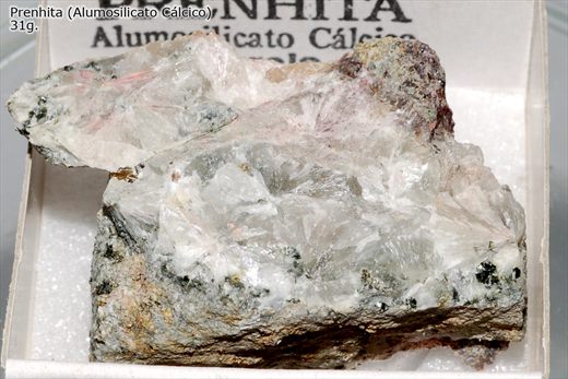 Prenhita