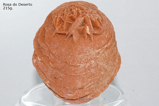 Rosa do deserto 2