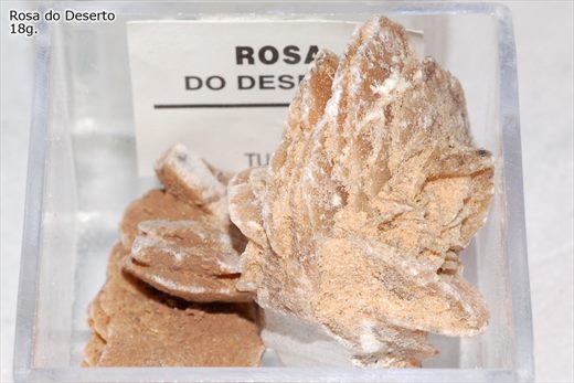 Rosa do deserto 4