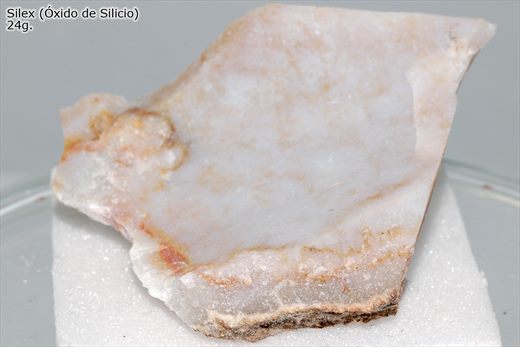 Silex 1
