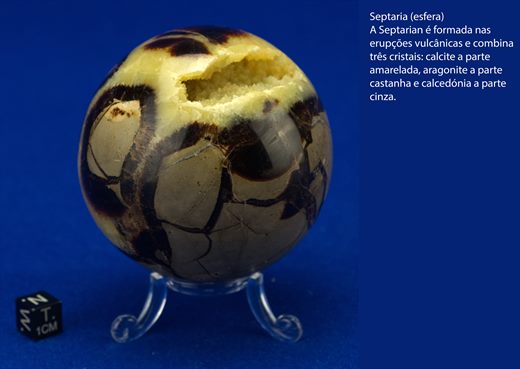 Septaria