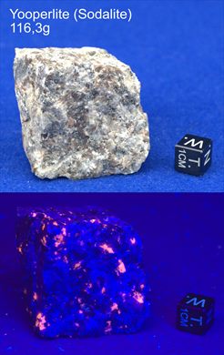 Sodalite (Yooperlite) 116,3g