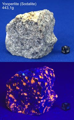Sodalite (Yooperlite) 443,1g
