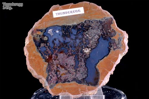 Thunderegg