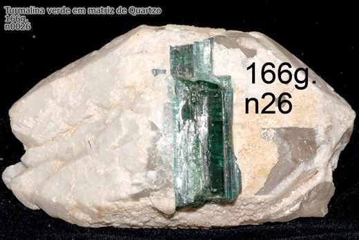 Turmalina verde em matriz de quartzo n0026