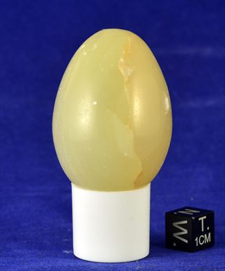 Ovo 004