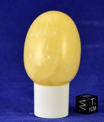 Ovo 005