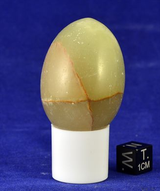 Ovo 010