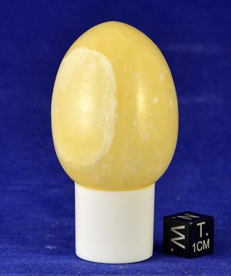 Ovo 011
