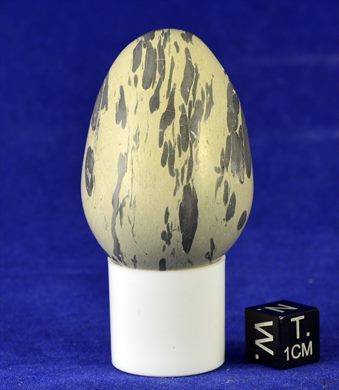 Ovo 017