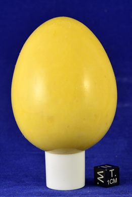 Ovo 018