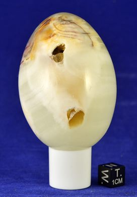 Ovo 022