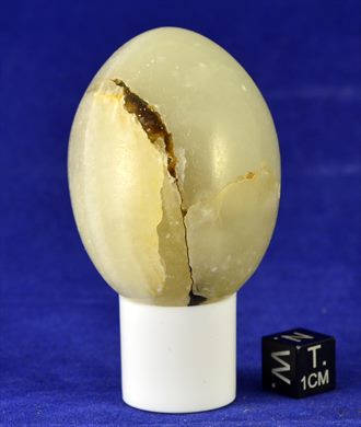 Ovo 024
