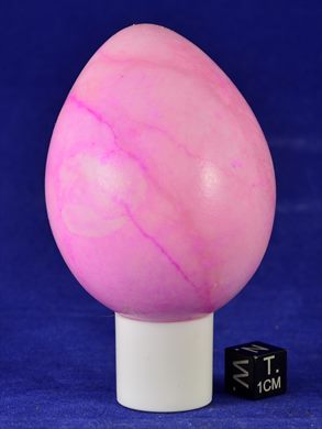 Ovo 025