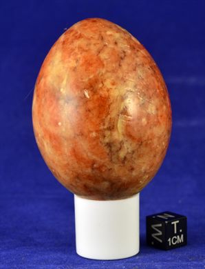 Ovo 026