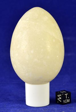 Ovo 027