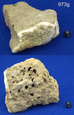 Amostra sem nome 973g (Peniche, Portugal)