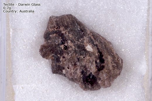 Tectite Darwin glass