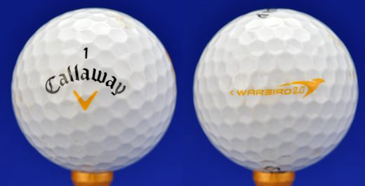 Callaway 1 warbird