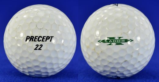 Precept 22 (Laddie X)