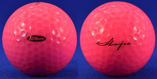Wilson 1 (purple) Hope
