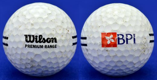 BPI (Wilson premium range)