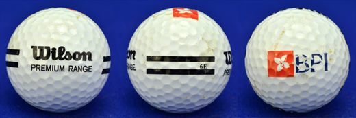 BPI (Wilson Premium Range 6E)