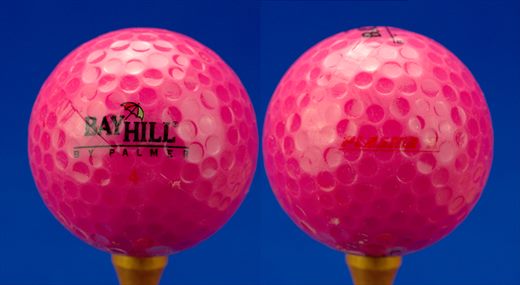 Bay Hill Club and Lodge by Arnold Palmer 4 plasma II