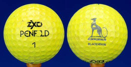 Blackmoor (ZXD Penfold 1)