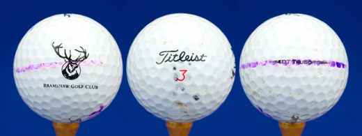 Bramshaw Golf Club (Titleist 3 DT TruSoft)
