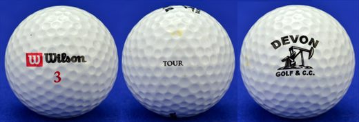 Devon golf and cc (Wilson 3)