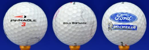 Ford Michelin (Pinnacle 3 Gold Distance)