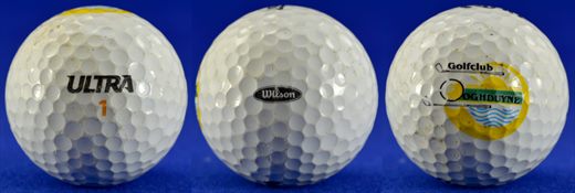 Golfclub Oghduyne (Wilson Ultra 1)