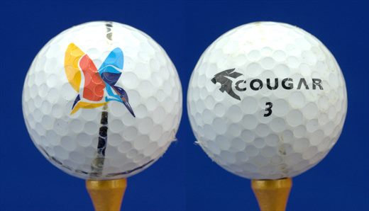 Hummingbird logo (Cougar 3)