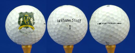 Ledreborg Palace Golf (Wilson Staff 1 FG Tour)