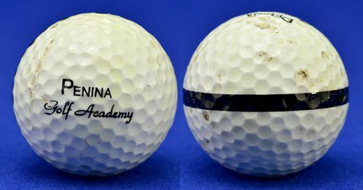 Penina Golf Academy