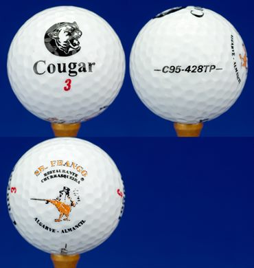 Sr. Frango (Cougar 3 C95-428TP)