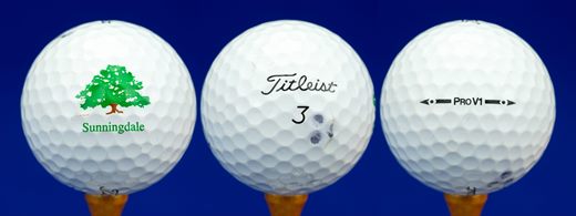 Sunningdale (Titleist 3 Pro V1)
